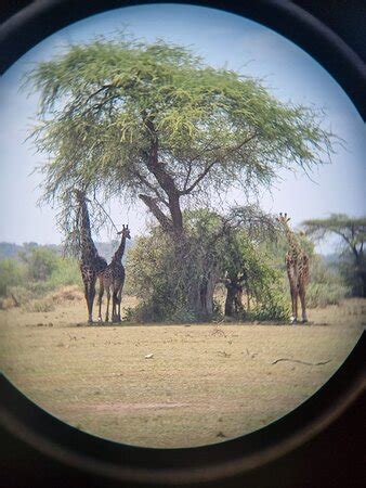 Fortes Africa (Mwanza) - All You Need to Know BEFORE You Go