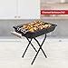 Prestige PPBW 04 Portable Barbeque with Detachable Legs, Black : Amazon ...