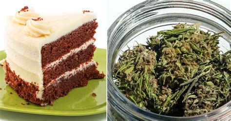 Restaurant accidentally serves pot cake at funeral | FOX 5 New York