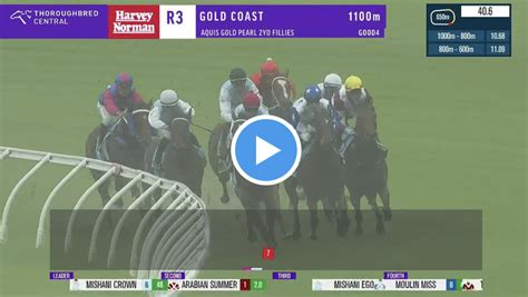 spingold 2024 results live apk v3.6.6