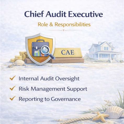 Chief Audit Executive: Role & Responsibilities Guide – Eduyush