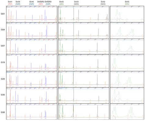 Bridging the Gap Between Platforms: Comparing Grape Phylloxera ...