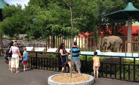 Rosamond Gifford Zoo, syracuse, United States Of America - Top ...
