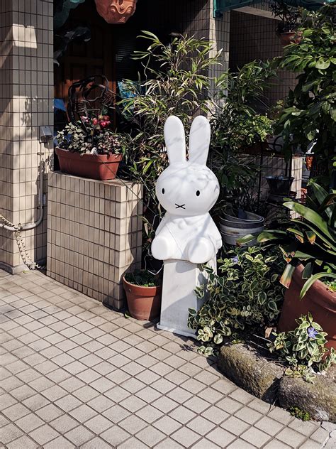 日本 的图像结果