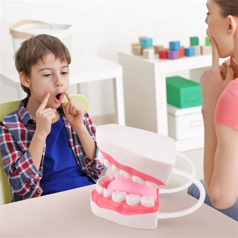 Buy Ultrassist Mouth Model Speech Therapy with Movable Tongue, Ideal ...