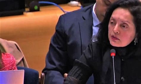 India demands UNSC reform documents name opponents of African permanent ...