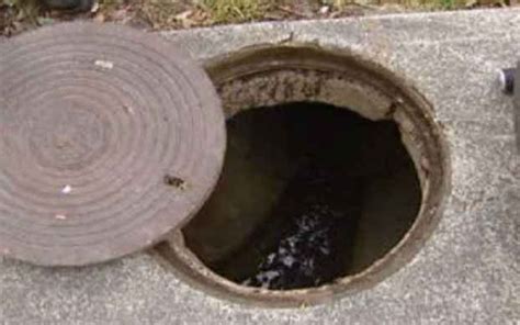 Five, including woman, die of asphyxiation inside septic tank in ...
