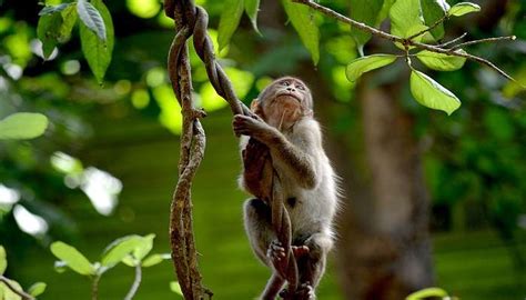 Gujarat Road Trip From Mumbai For Adventure Enthusiasts