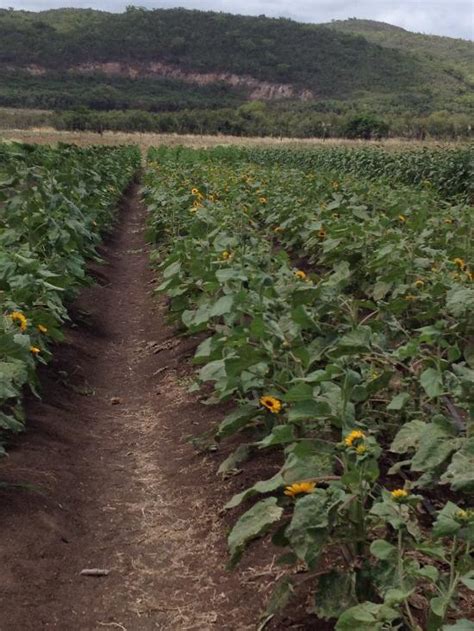 Guanica Tourism (2024): All You Need to Know Before You Go