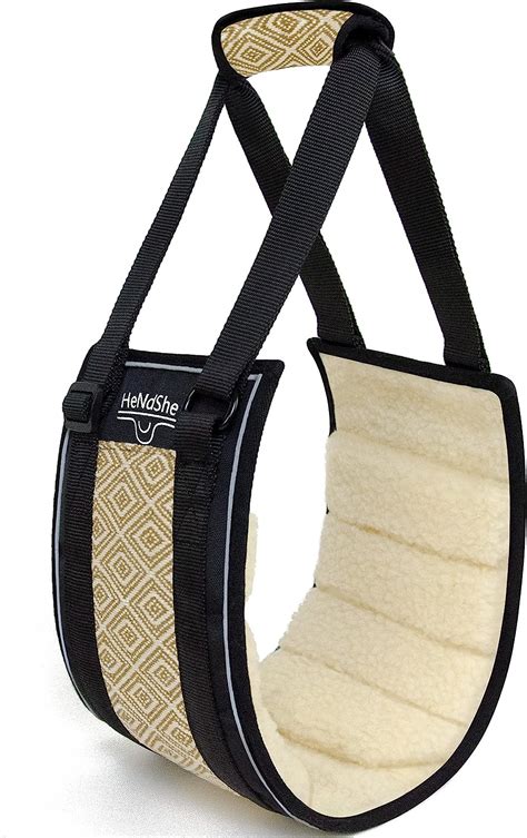 Buy HeNdShe Dog Sling 3D Contoured Surface Designed for Dog Lift ...