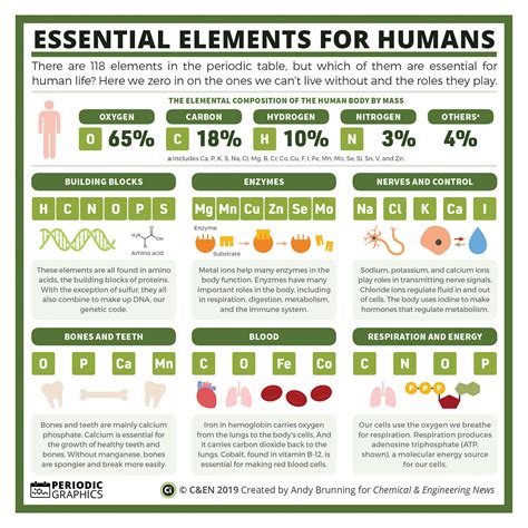 Image result for Essential Elements