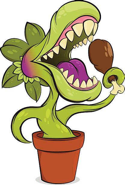 POWAY- Carnivorous Plants with Sydney , Walter Andersen Nursery, Poway ...