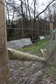 LIFE Dee River: Issue 2, Spring 2021