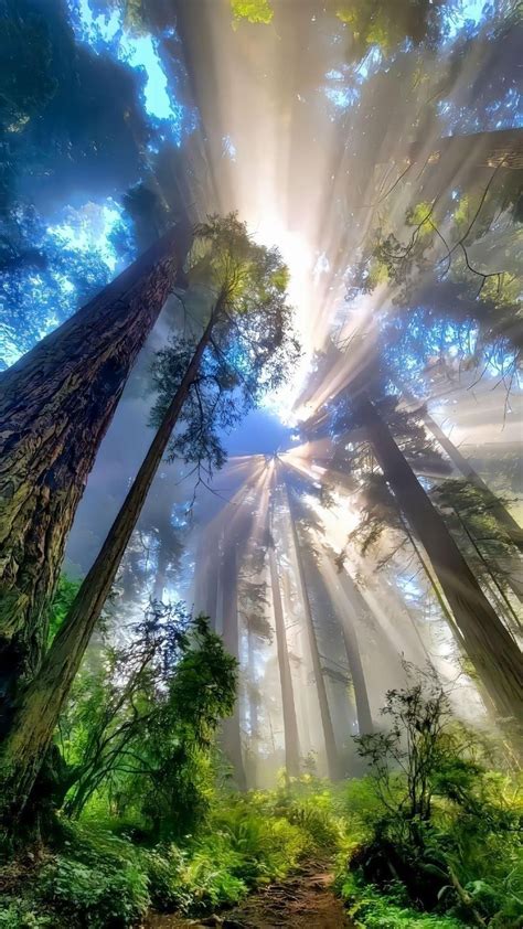 Belle Nature 的图像结果