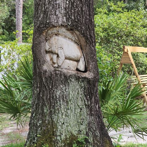 OLD TOWN CAMPGROUND - Campground Reviews & Photos - Tripadvisor