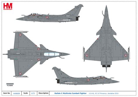 Rafale C Multirole Combat Fighter 113-HS, EC 1/7 Provence , Kandahar 2010