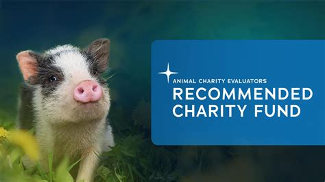 Past Distributions - Animal Charity Evaluators