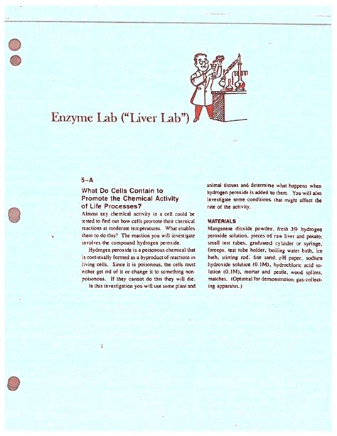 Image result for Liver Enzyme Lab Test