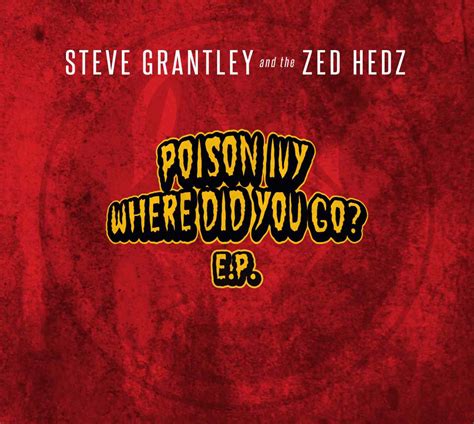 ‘Where did Poison Ivy go?’…Stiff Little Fingers drummer Steve Grantley ...