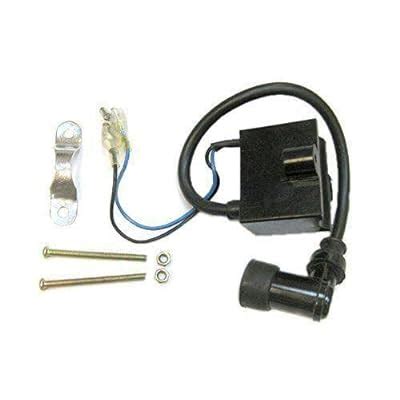 Capacitor Discharge Ignition CDI - 2 Stroke | Ubuy India