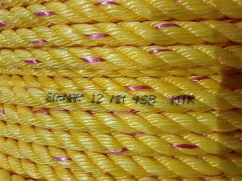 Manufacturer of Danline Ropes & Baler Twine Rope by Shiv Plastic ...