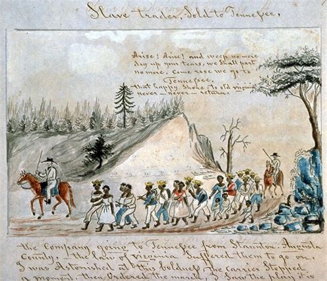 Treatment on Mulberry Row | Thomas Jefferson's Monticello