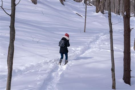 Walk-In Nature 的图像结果