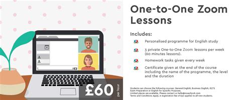 Zoom Lessons for Beginners 的图像结果