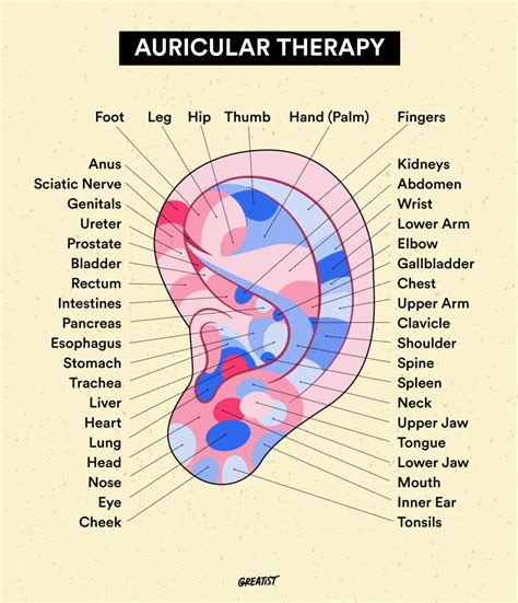Auricular Acupuncture Nausea