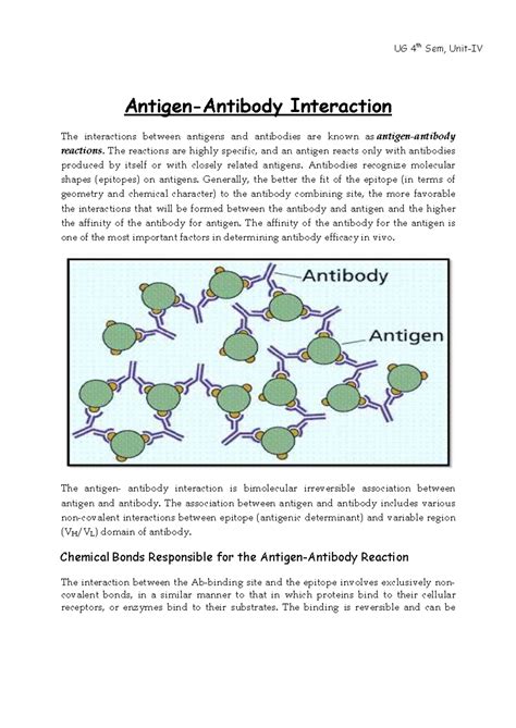 UG 4th Sem, Antigen-Antibody Interaction and Reactions Explained - Studocu