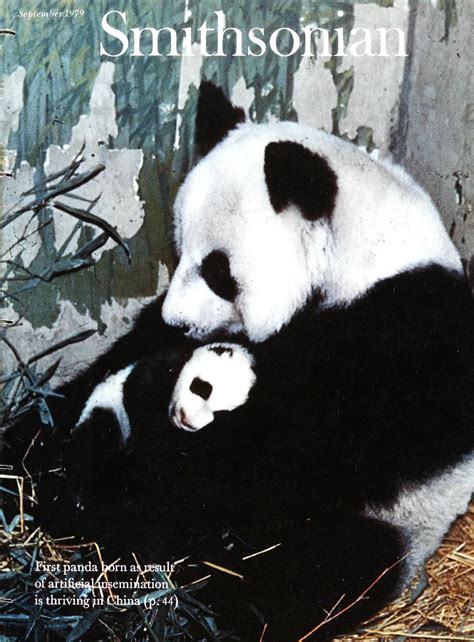 Revisit 51 Years of Giant Pandas at the National Zoo, From Beloved Babies to Fun in the Snow