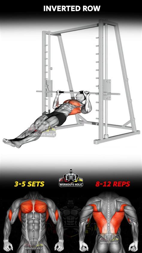 Image result for Inverted Row Workout