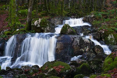 Image result for Waterfall Model in Matplotlib