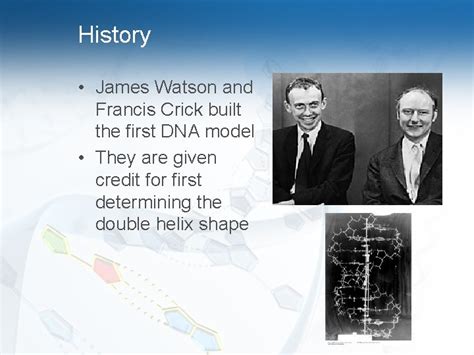 Image result for Normal DNA Function