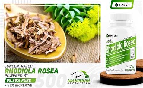 HAYER Rhodiola Rosea 750mg, High Potency Adaptogenic Herb Supplement ...