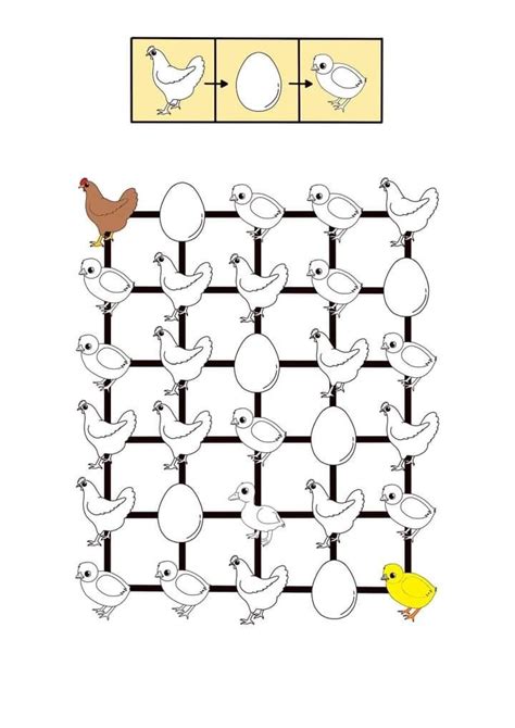Visual Perception Exercises 的图像结果