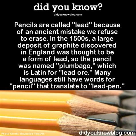 Most Random Facts 的图像结果