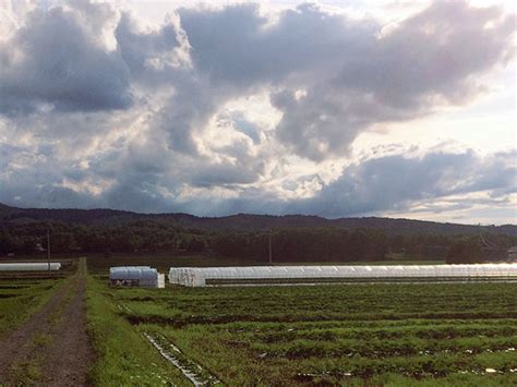 齋藤 匡盛 | 諸国良品 | 無印良品ネットストア