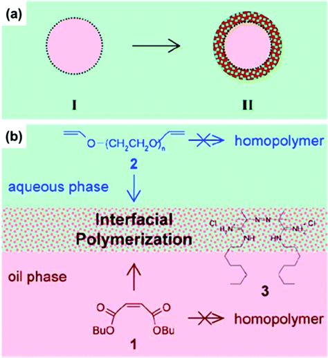Interfacial Polymerization Process 的图像结果