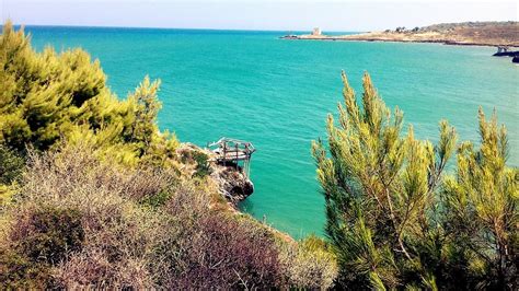 PUGLIA SWEET HOME (Peschici) - Lodge Reviews & Photos - Tripadvisor