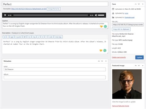 Image result for How to Add Audio Files