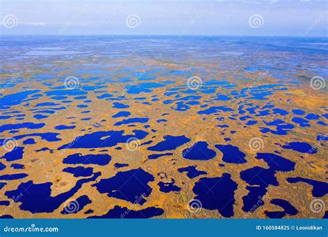Autumn Landscape. West Siberian Plain. Stock Image - Image of aerial ...