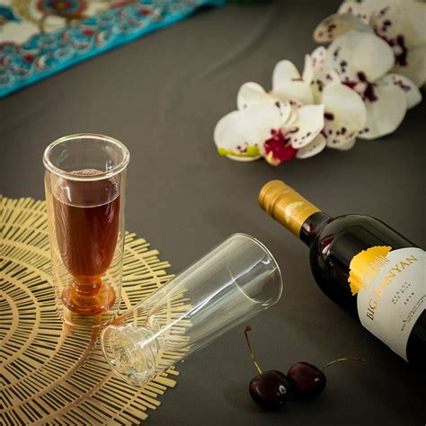 Double Wall Chic Glass (250 ml) (Pack of 2) – EZ Life