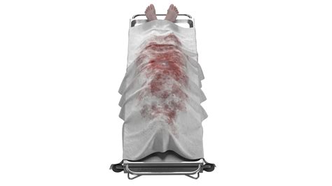 Dead Body Covered 3D Model $39 - .3ds .max .fbx .obj - Free3D