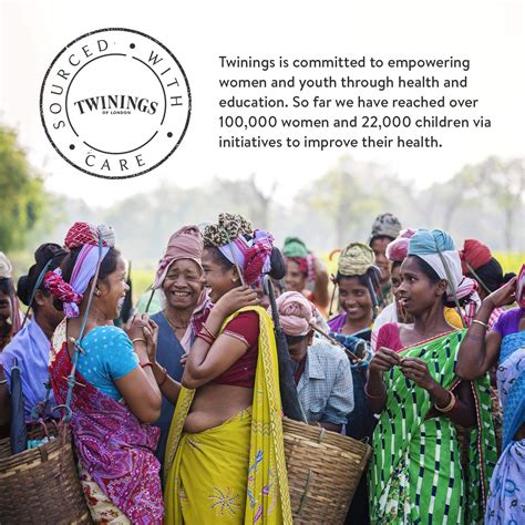 Twinings Cold Infuse Tea, Rose Lemonade, 12 each, 30g: Buy Online in ...