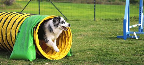 Work Design 的图像结果