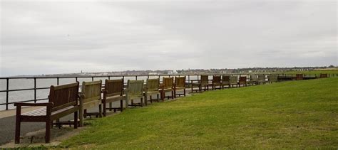 Image result for Bench Row