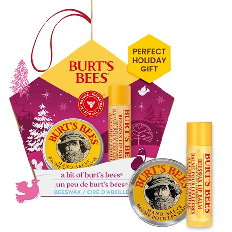Amazon.com : Burt's Bees Lip Balm and Hand Salve Gift Set, A Bit of ...
