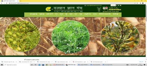 Indian Institute of Pulses Research
