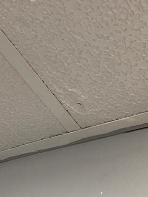 Armstrong Ceilings 2-ft x 2-ft RANDOM FISSURED Unperforated White ...